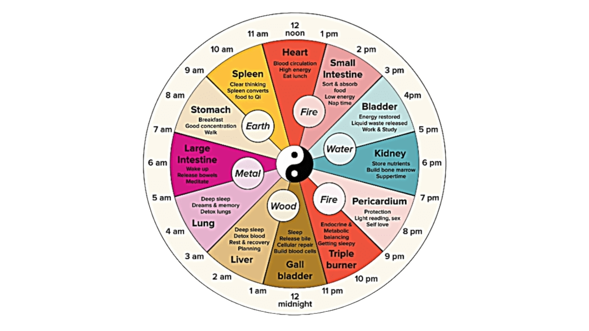 Circadative clock